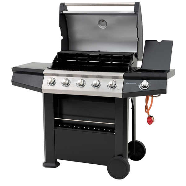 Dominica 5+1 Gas Burner BBQ